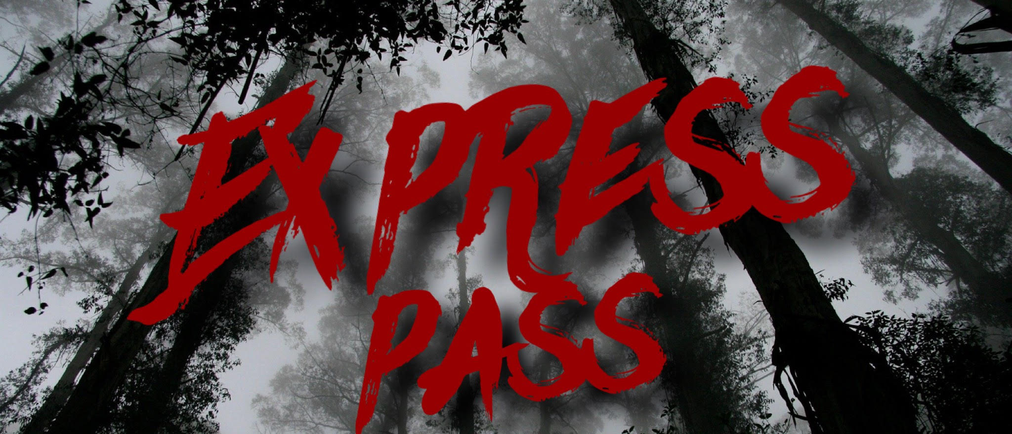Expres pass ticket to the WJAA Haunted Woods to avoid the line.