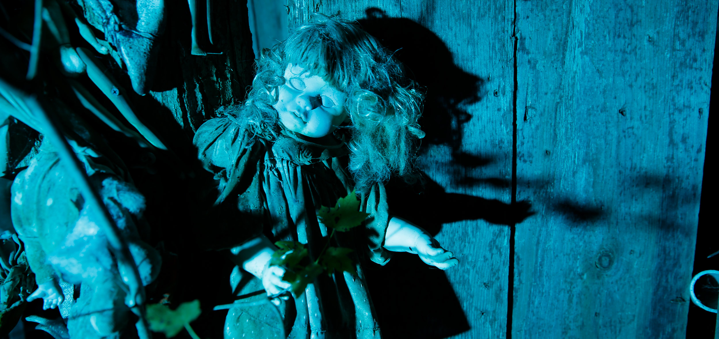 HauntedWoodsWJAA