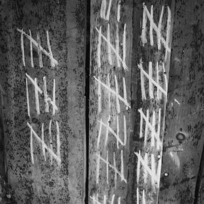 WJAA Haunted Woods Victims
